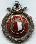 1953/1954 season medal